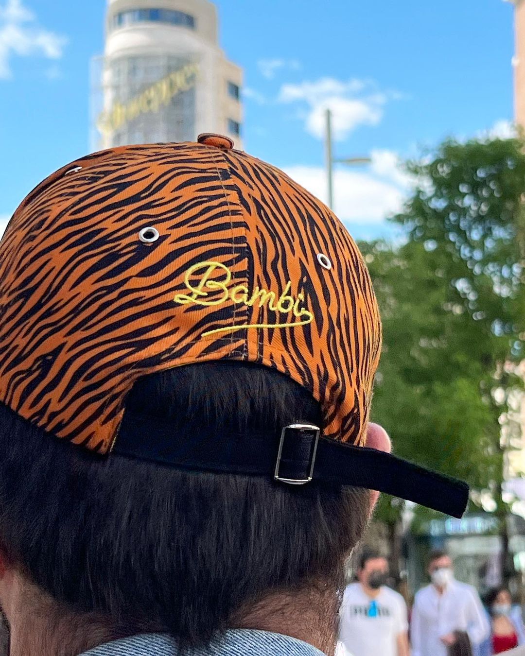 Zebra